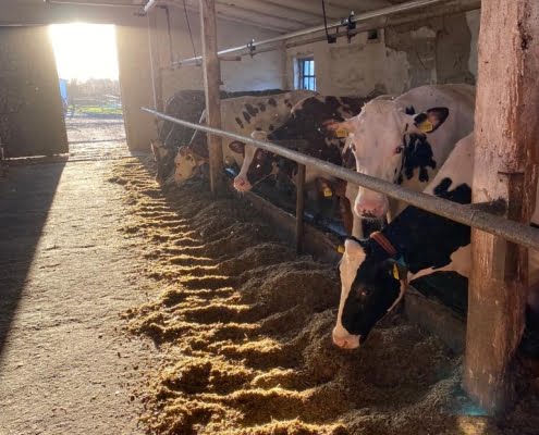 WhatsApp Image 2022-11-03 at 18.04.09 (1)