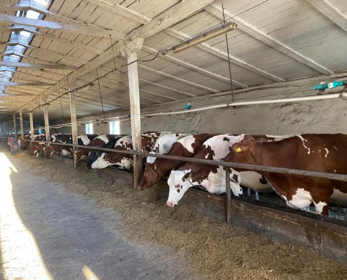 WhatsApp Image 2022-11-03 at 18.04.10