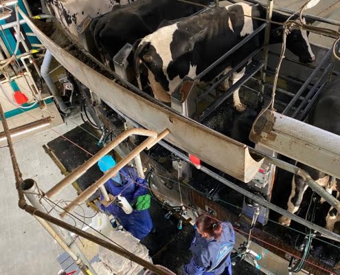 WhatsApp Image 2022-11-03 at 18.04.11 (1)