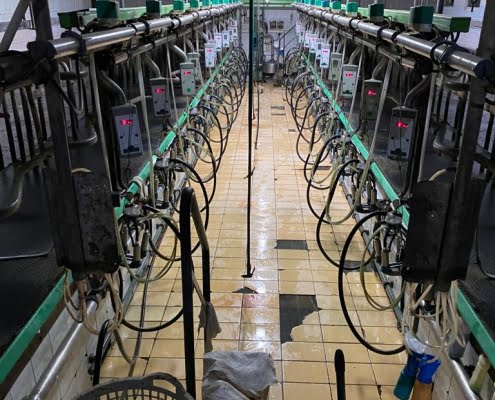 WhatsApp Image 2022-11-03 at 18.04.11 (3)