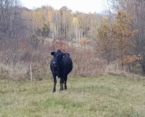 изображение_viber_2022-10-21_18-53-27-663