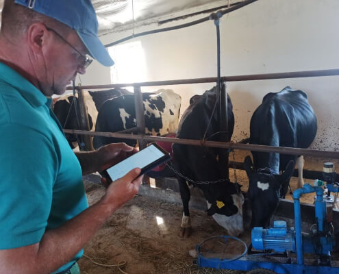 надавачі послуг