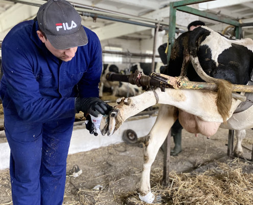 надавачі послуг