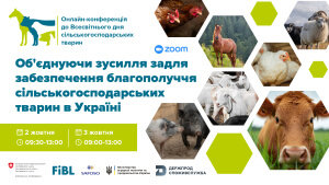 Конференція