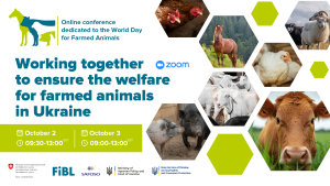 Conference on October 2-3