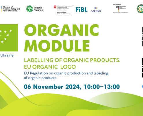 Exploring EU Best Practices in Organic Product Labelling and Use of the EU Organic Logo (Euroleaf) Exploring EU Best Practices in Organic Product Labelling and Use of the EU Organic Logo (Euroleaf)
