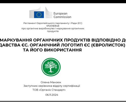 Screenshot 2024-11-08 165258