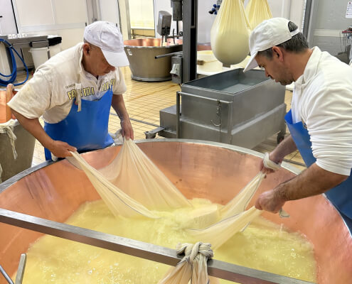 Навчальний тур українських сироварів