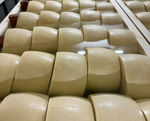 Навчальний тур українських сироварів