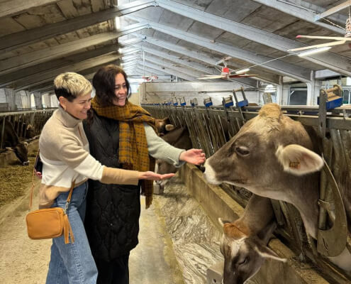 Навчальний тур українських сироварів