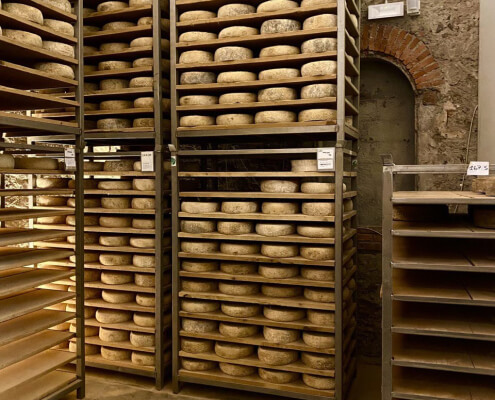 Навчальний тур українських сироварів