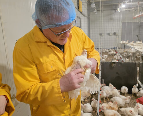 Study visit to the Netherlands