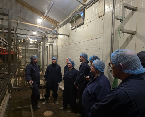 Study visit to the Netherlands