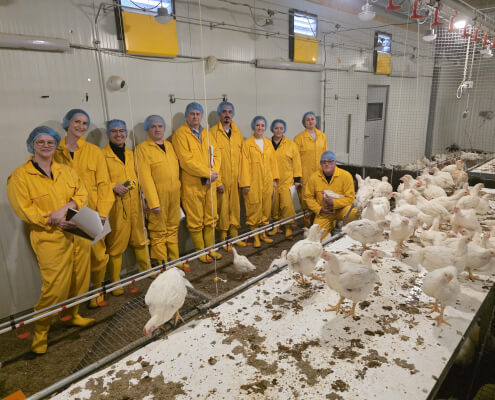 Study visit to the Netherlands