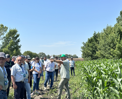 Field Forum “Organic Solutions that Work”